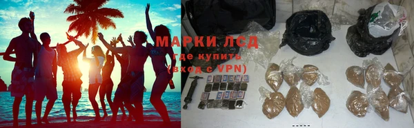 apvp Алексин
