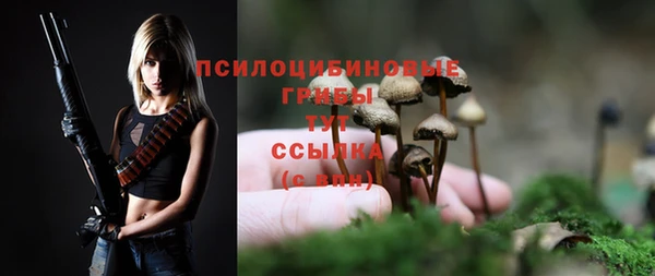 спайс Алзамай