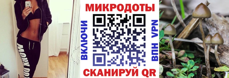 Галлюциногенные грибы ЛСД Котово